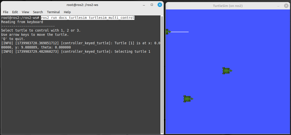 turtlesim view